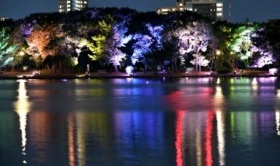 大濠公園幻想的に　ライトアップ始まる [福岡県] – 西日本新聞