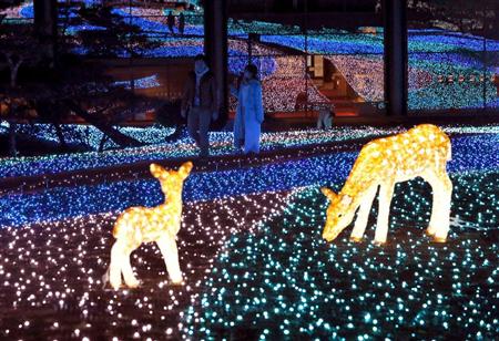 奈良公園一帯で「なら瑠璃絵」の試験点灯 360度光の海に