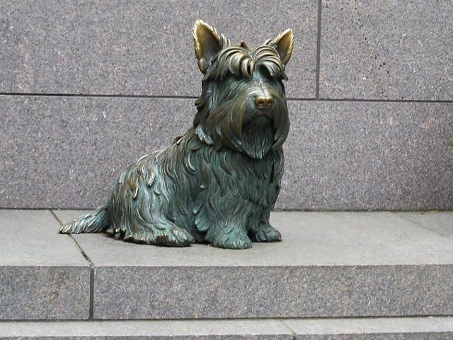 もうすぐ桜祭り　アメリカ大統領の愛犬の銅像がある公園へ行ってみよう！ – エキサイトニュース