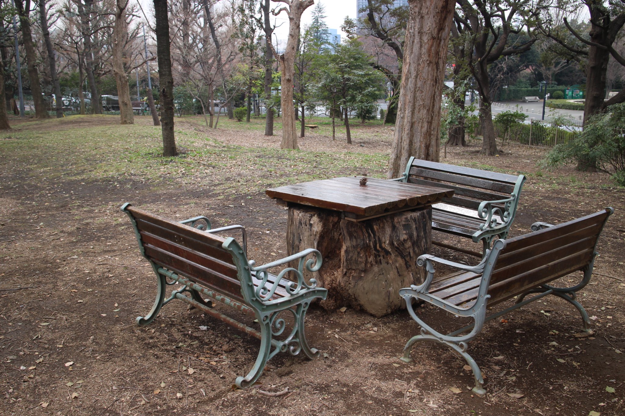 公園訪問：限りなく公園的なオープンスペース、100年のイチョウに興奮の明治神宮外苑