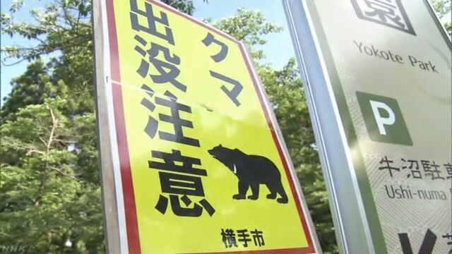 公園に複数のクマのねぐらか？ 秋田 横手 | NHKニュース