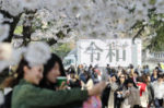 鶴舞公園にも「令和」　花見客が記念撮影、名古屋　　:日本経済新聞